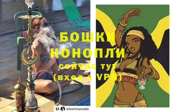 spice Арсеньев