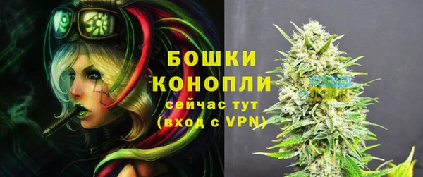 дживик Аркадак