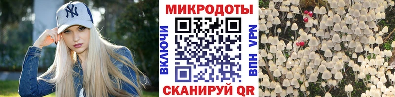 Галлюциногенные грибы Magic Shrooms где купить наркоту Нея